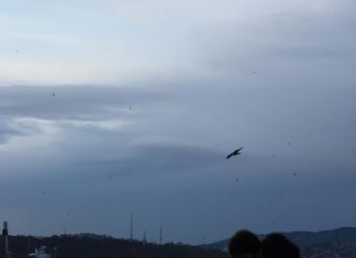 Best Areas To Stay In Istanbul For Foreigners: Ultimate Guide