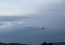 Where To Find The Best Turkish Delight: Ultimate Guide Revealed