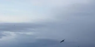 Best Turkish Restaurants With a View That Will Take Your Breath Away