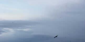 Where To Find The Best Turkish Delight: Ultimate Guide Revealed