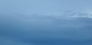 Where To See The Best Autumn Colors In Turkey: Stunning Spots Revealed