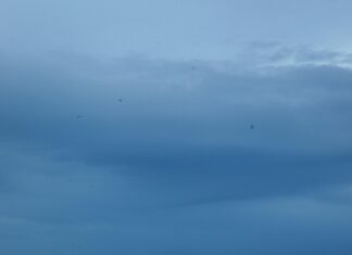 Where To See The Best Autumn Colors In Turkey: Stunning Spots Revealed