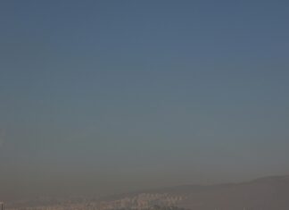 The Best Turkish Destinations for Birdwatching: Ultimate Guide