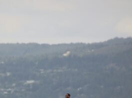 Hiking The Mountains Near The Black Sea: Ultimate Adventure Guide