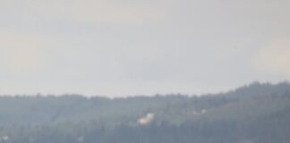 Hiking The Mountains Near The Black Sea: Ultimate Adventure Guide