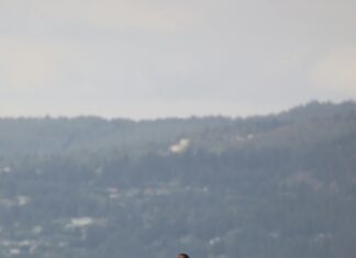 Hiking The Mountains Near The Black Sea: Ultimate Adventure Guide