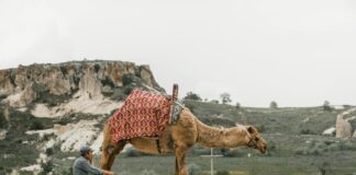 Discovering Turkish Nomadic Culture: Secrets That Will Amaze You