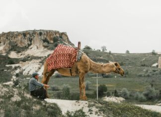 Discovering Turkish Nomadic Culture: Secrets That Will Amaze You