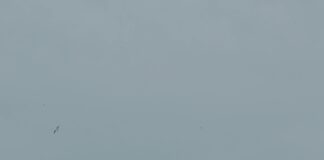 Best Local Tours In Turkey Worth Booking For Unforgettable Adventures