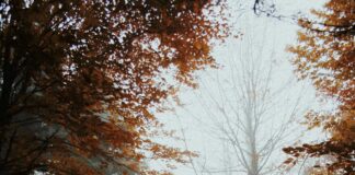 Exploring The Sufi Trail Across Turkey: Mystical Journeys Unveiled