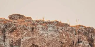 How To Find English-Speaking Guides In Turkey: Ultimate Tips Revealed