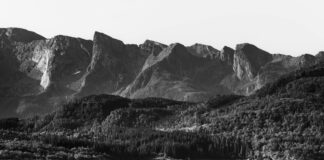 Exploring The Forests Of The Black Sea Region: Secrets Revealed