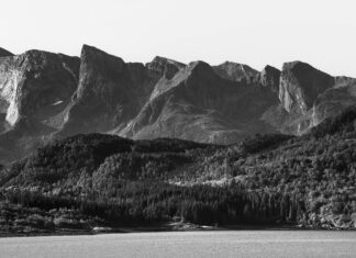 Exploring The Forests Of The Black Sea Region: Secrets Revealed