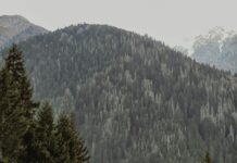 Exploring The Valley Of The Butterflies In Turkey: Hidden Natural Wonder