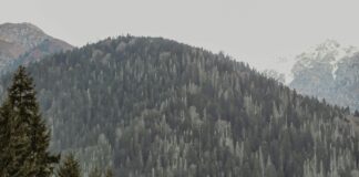 Exploring The Valley Of The Butterflies In Turkey: Hidden Natural Wonder