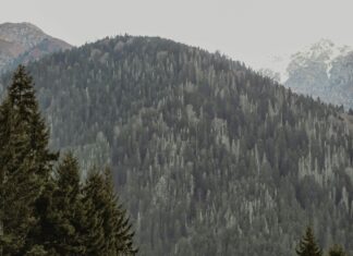 Exploring The Valley Of The Butterflies In Turkey: Hidden Natural Wonder