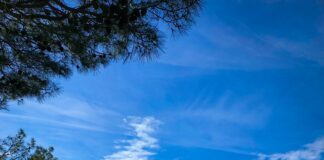 Discover The Blue Lagoon Of Ölüdeniz: Ultimate Guide To Paradise