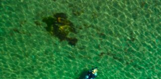 Best Places For Snorkeling In Turkey You Absolutely Must Explore