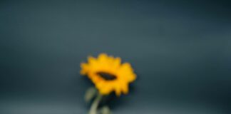 Tips For Enjoying Turkish Cuisine As A Foreigner: Ultimate Guide