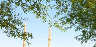 The Best Natural Parks in Turkey: Discover Hidden Gems and Wonders