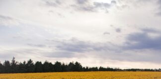 The Most Instagrammable Places in Turkey That Will Amaze You