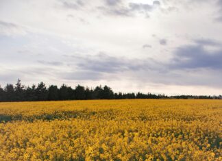 The Most Instagrammable Places in Turkey That Will Amaze You