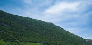 Exploring Turkey’s Roman Heritage: Uncover Ancient Secrets Today