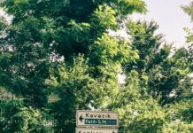 Getting Around Turkey By Bus: Ultimate Guide To Easy Travel