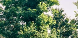 Getting Around Turkey By Bus: Ultimate Guide To Easy Travel