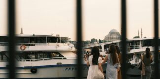 Scenic Train Rides in Turkey for Foreign Tourists: Discover Wonders