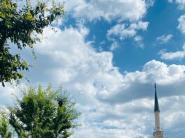 Turkish Village Markets: Discover What Surprises Await You