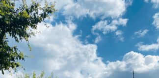 Turkish Village Markets: Discover What Surprises Await You