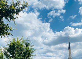 Turkish Village Markets: Discover What Surprises Await You