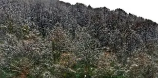 Scenic Lakeside Villages in Turkey: Discover Hidden Gems Today