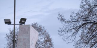 Visiting The Turkish Horse Markets In The East: What To Expect