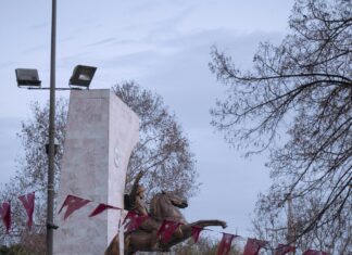 Visiting The Turkish Horse Markets In The East: What To Expect