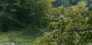 Scenic Waterfalls You Shouldn’t Miss In Turkey: Hidden Gems Revealed