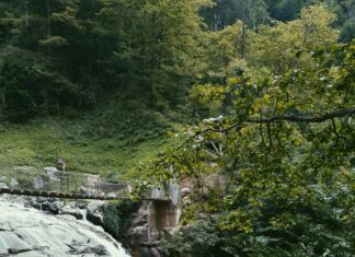 Scenic Waterfalls You Shouldn’t Miss In Turkey: Hidden Gems Revealed