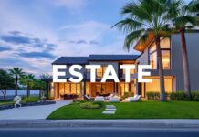 The Art of Real Estate: Blending Aesthetics and Investment The Art of Real Estate: Combining Beauty and Investment